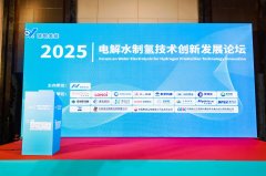 共探技術(shù)前沿 共話氫能未來——立佳出席2025電解水制氫論壇